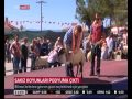 Download Sakız koyunu güzellik yarışması Sakız koyunu güzellik yarışması