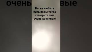 16 октября 2025 г.