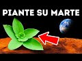 Ecco Cosa Ci Vuole Per Rendere Marte Simile Alla Terra