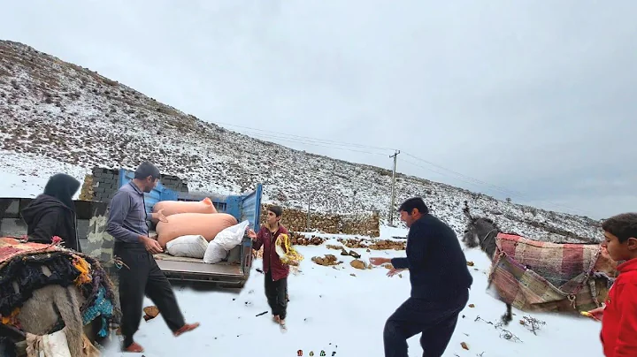 Bringing provisions for sheep on snowy❄️ mountain trail:difficulties & hardships of carrying them