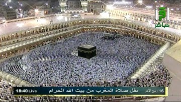 الشيخ ماهر المعيقلي وتلاوة مميزة من سورة محمد