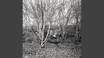 2019.11.07-15.17.56-ПП