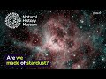 Are we made of stardust? | Surprising Science