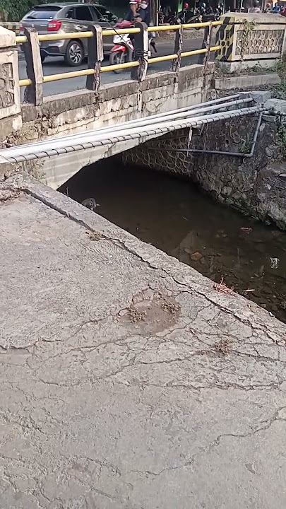 tempat kejadian...maling di keroyok warga di bawah jembatan..