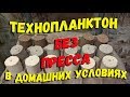 Технопланктон без пресса в домашних условиях