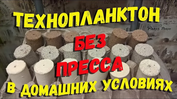 Что клюет на технопланктон?