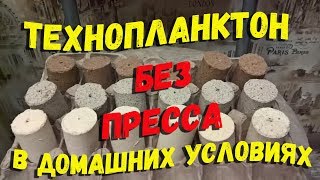 Технопланктон без пресса в домашних условиях