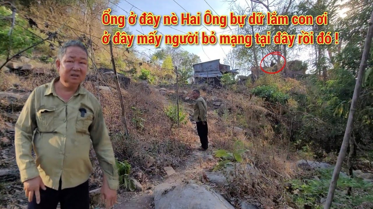 Люди вспоминают ужасающий момент, когда они столкнулись со змеей размером со ствол дерева на горе...