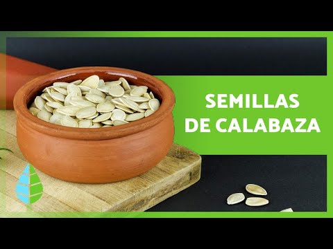 Video: ¿Cuáles son las mejores calabazas para comer? Aprenda sobre las calabazas comestibles