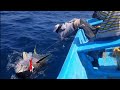 Yellowfin tuna fish catching skills in indian ocean handline fish amazing fishing  part 1 