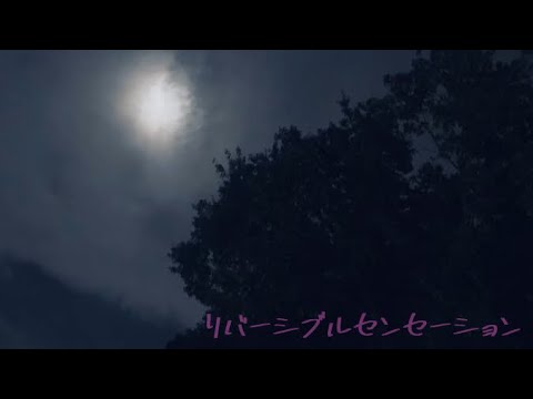 リバーシブルセンセーション