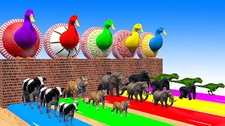 5 Giant Duck Cartoon Tiger,Cow,Dinosaur,Gorilla,Elephant, Wild Animals Choose The Right Mystery Door