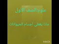 علوم ماذا يغطي أجسام الحيوانات