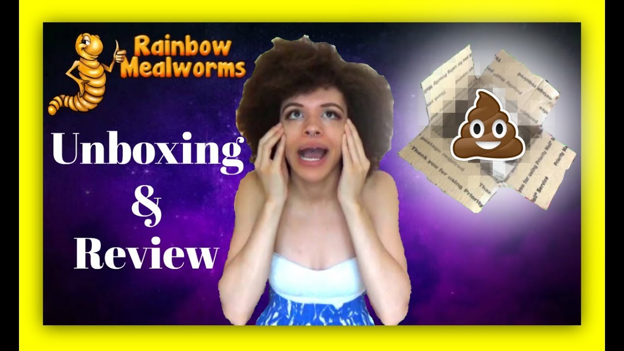 Unboxing & Review (Rainbow Mealworms) YouTube