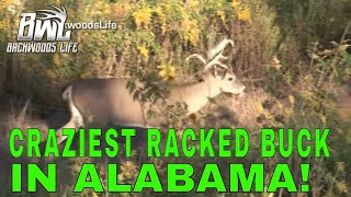 Jeremy Johnson Tags the Craziest Racked Buck in Alabama — What Is This Thing?