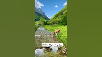 سورة الكهف ارح قلبك _حالات قصيرة_#ارح_قلبك #راحة_نفسية #عبدالرحمن_السديس #هزاع_البلوشي # #اكسبلور