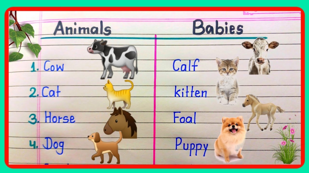 Animals & their Baby names| Animals and their Babies Names|Name of ...