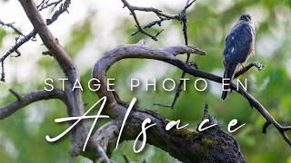 Stage photo en groupe ou privatif en Alsace
