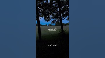 ألم يعلموا أن الله هو يقبل التوبة عن عباده | سورة التوبة | الشيخ ياسر الدوسري #تلاوة_خاشعة