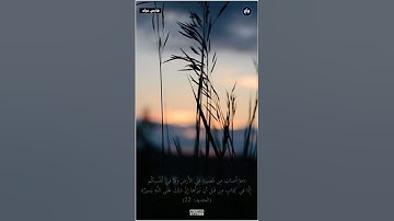 {ذلِكَ فَضلُ اللَّهِ يُؤتيهِ مَن يَشاءُ وَاللَّهُ ذُو الفَضلِ العَظيمِ} تلاوة بصوت القارئ فارس عباد