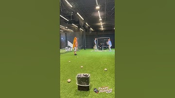 Trash Pandas Trick Shots (Softy Trash)