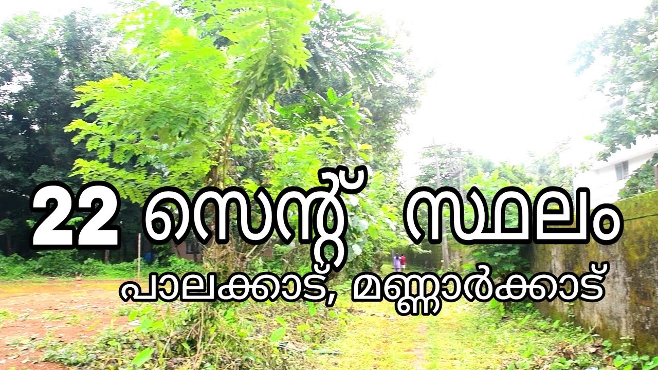 Plot For Sale In PalakkadMannarkkad22 Cent PlotResidential Plot