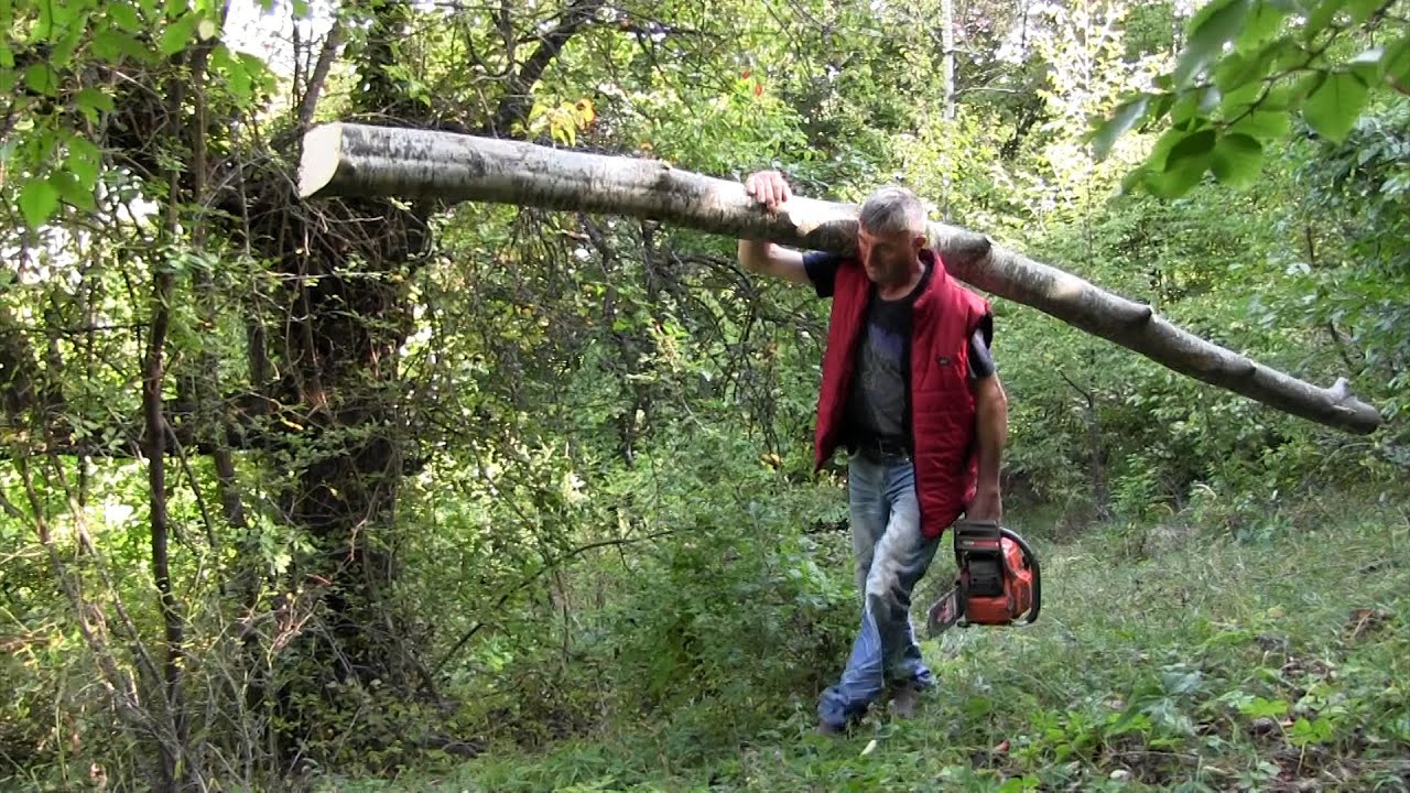 Zivot zaboravljenog Golijskog nomada