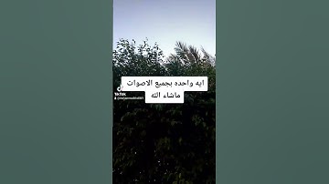 القارئ انس البرقي تقليد عبد الباسط عبد الصمد المنشاوي وجميع قراء العالم