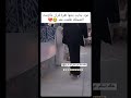 عود جابت بنتها تقرة قران مالزمت الضحكه طلعت بعد راحة نفسية دويتو تيك توك ترند عود جابت بنتها تقرة قران مالزمت الضحكه طلعت بعد راحة نفسية دويتو تيك توك ترند