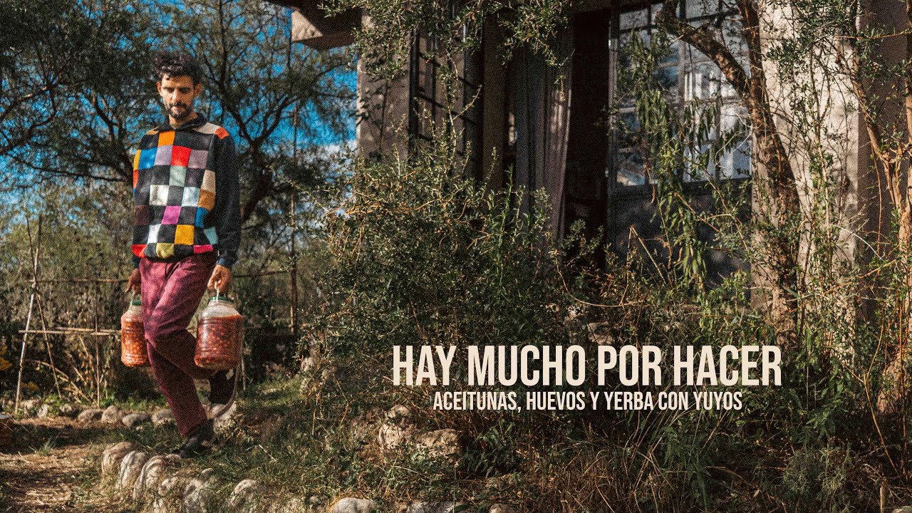 ¡Ya están las aceitunas! 🍂 Así son los días desde que DEJAMOS LA CIUDAD para VIVIR EN EL MONTE