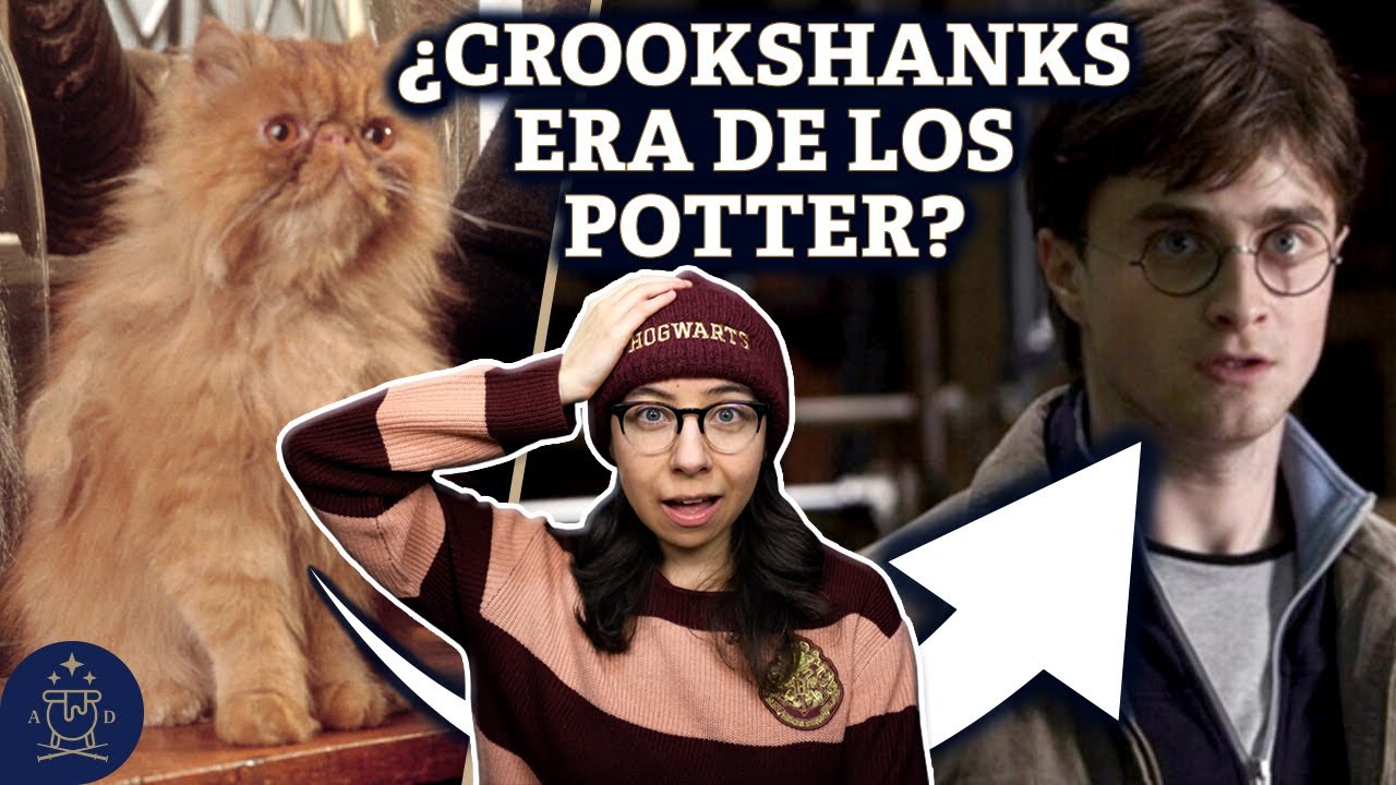 ¿Era CROOKSHANKS el gato de los POTTER? | Teoría de Harry Potter