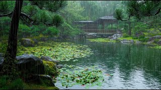 Rain In Japanese Garden With Lotus Pond Real Rain Sounds For Sleep, Meditation & Relaxation