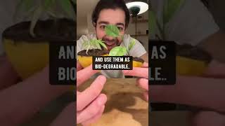 10 Lemon-Peel Hacks