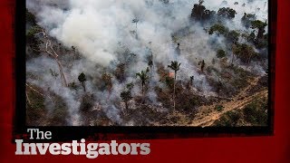 The dangers of environmental journalism | The Investigators with Diana Swain