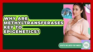 Why Are Methyltransferases Key To Epigenetics? - Genetic Wellness for Families Why Are Methyltransferases Key To Epigenetics? - Genetic Wellness for Families