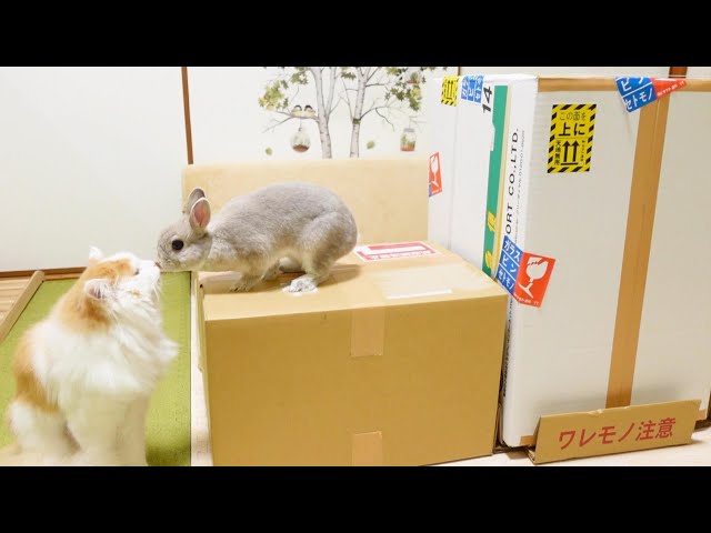 ご購入済み リメイク ラウンドバスケット おねむなうさぎ さん 黄色い