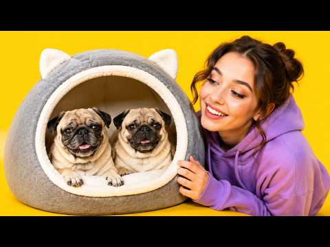 BUILT A SECRET ROOM FOR DOG || Awesome Room Makeover! Gadgets for Pets by 123 GO!