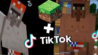 Ricardo Golemus | Tik Tok Minecraft compilation [2]