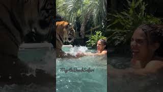 Aaliyah and the tiger. Splash games. 89 degrees time to swim and cool off.