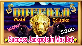 ⚠️Wow!! Success Jackpots in Max Bet at Buffalo Gold Collection Slot Machine