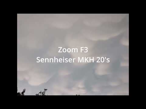 Field Recording/ Mammatus