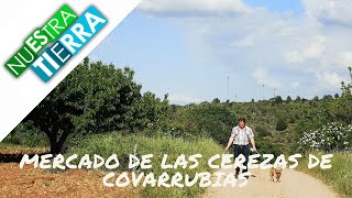 NUESTRA TIERRA | Mercado de la Cereza de Covarrubias en tiempos de la Covid-19