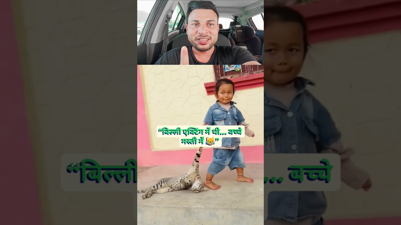 billi ki masti #youtubeshorts #trending  #funny #viral #shortvideo