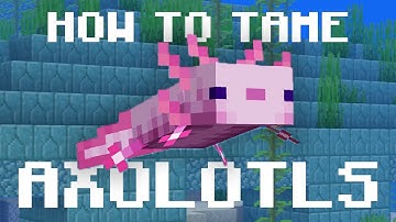 How to Tame Axolotls in Minecraft 1.17