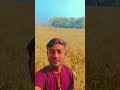 "हमारा गेहूं का खेत #wheatfield #gehu #khet #farming #farmer #kisan #agriculture  #indianfarmer 🌾💵🙋