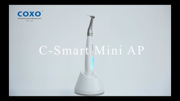 C-Smart Mini AP