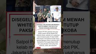 Kelab Malam Mewah White Rabbit PIK Ditutup #whiterabbit #club #beritaterkini #shorts #fyp