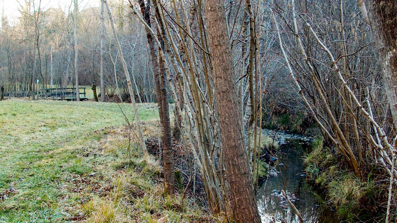 La Valle delle acque morte a Monfumo: un sentiero segreto nel cuore del paese