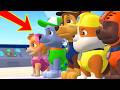 Paw Patrol Mighty Pups Save Adventure Bay - Marshall Skye Chase Rubble Zuma Rocky Compilation