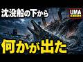 沈没船の下から何かが出た www | UMA | CH5